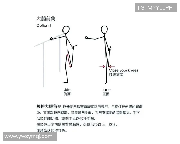 提升力量与稳定性的哑铃俯卧撑训练方法全解析