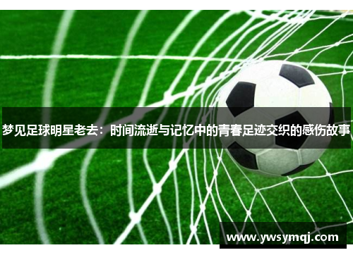 梦见足球明星老去：时间流逝与记忆中的青春足迹交织的感伤故事