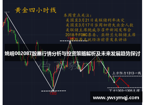 姚明002087股票行情分析与投资策略解析及未来发展趋势探讨