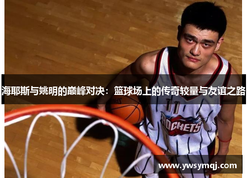 海耶斯与姚明的巅峰对决：篮球场上的传奇较量与友谊之路