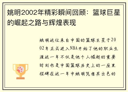 姚明2002年精彩瞬间回顾：篮球巨星的崛起之路与辉煌表现